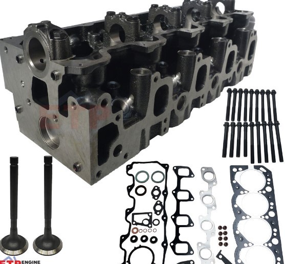 Cylinder Heads & Parts