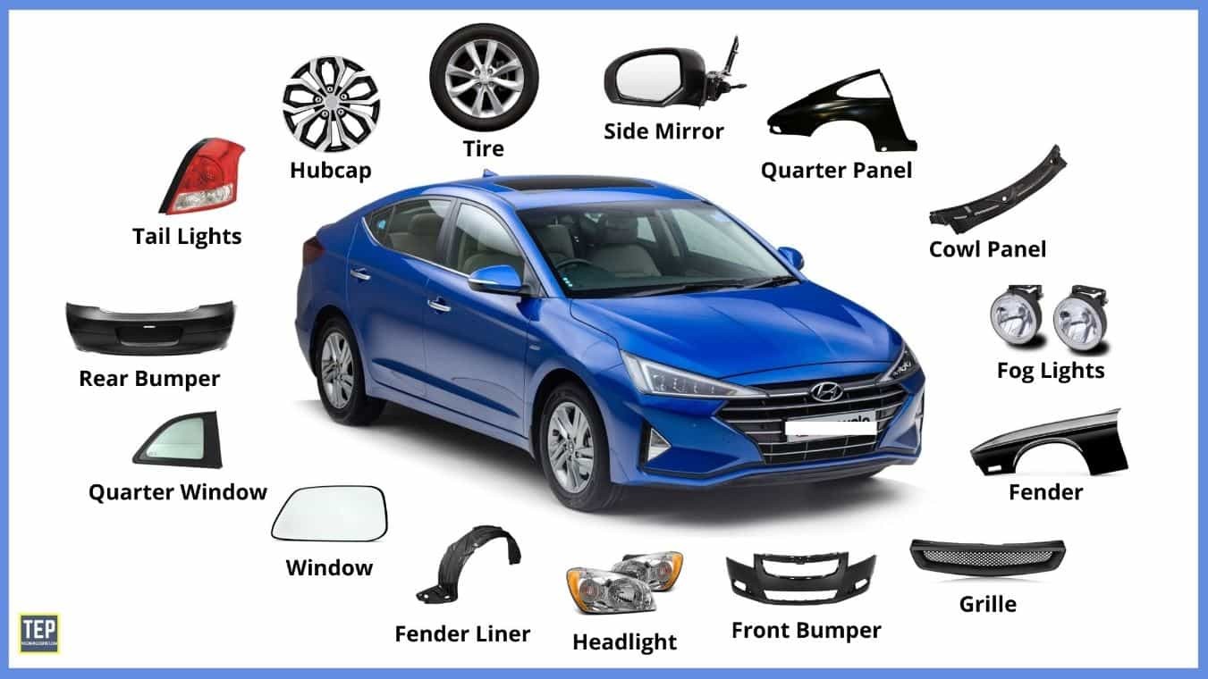 EXTERIOR BODY PARTS